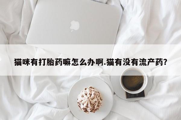 堕胎药咨询购买猫咪有打胎药嘛怎么办啊.猫有没有流产药？