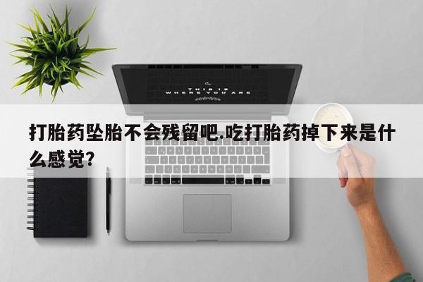 堕胎药咨询购买打胎药坠胎不会残留吧.吃打胎药掉下来是什么感觉？