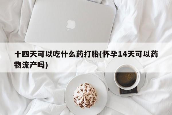 堕胎药咨询购买十四天可以吃什么药打胎(怀孕14天可以药物流产吗)